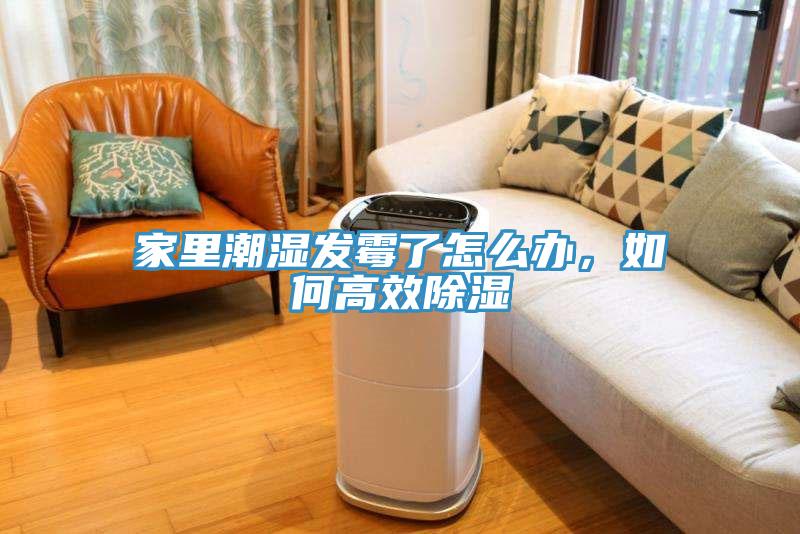 家里潮濕發(fā)霉了怎么辦，如何高效除濕