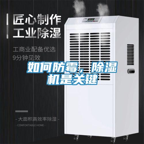 如何防霉，除濕機(jī)是關(guān)鍵