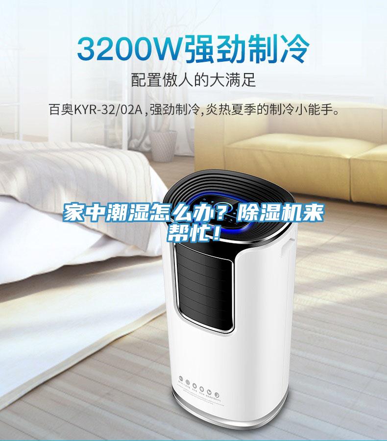 家中潮濕怎么辦？除濕機(jī)來幫忙！