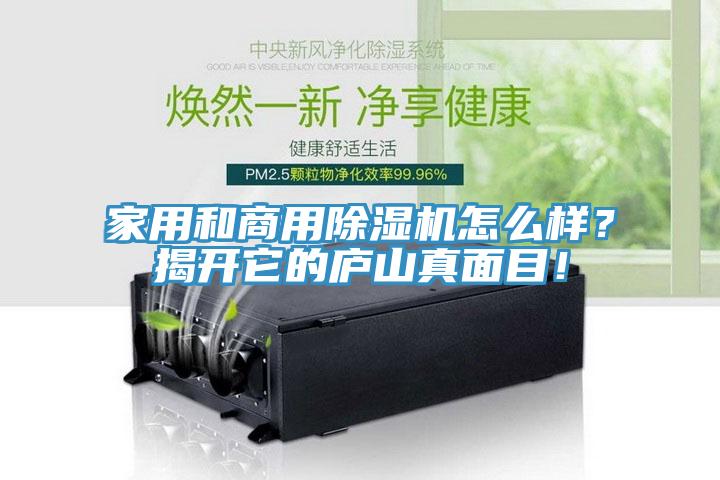 家用和商用除濕機(jī)怎么樣？揭開它的廬山真面目！