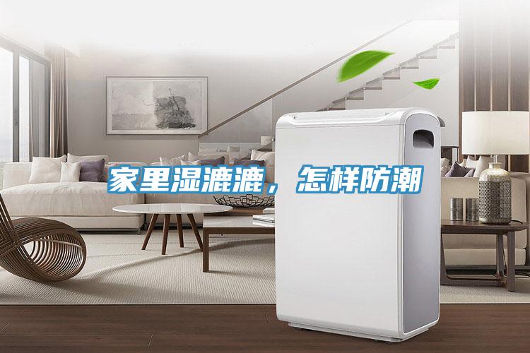 家里濕漉漉，怎樣防潮