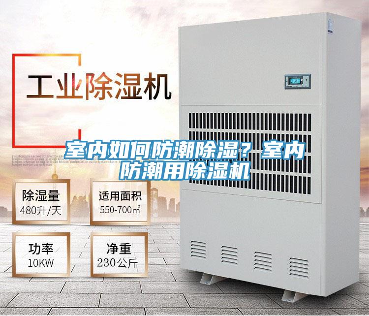 室內如何防潮除濕？室內防潮用除濕機
