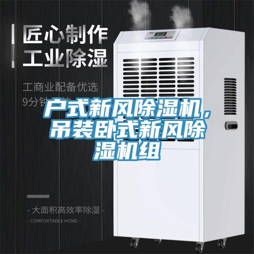 戶式新風(fēng)除濕機(jī)，吊裝臥式新風(fēng)除濕機(jī)組