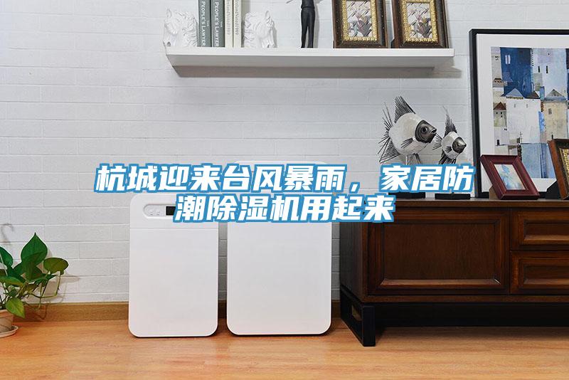 杭城迎來(lái)臺(tái)風(fēng)暴雨，家居防潮除濕機(jī)用起來(lái)