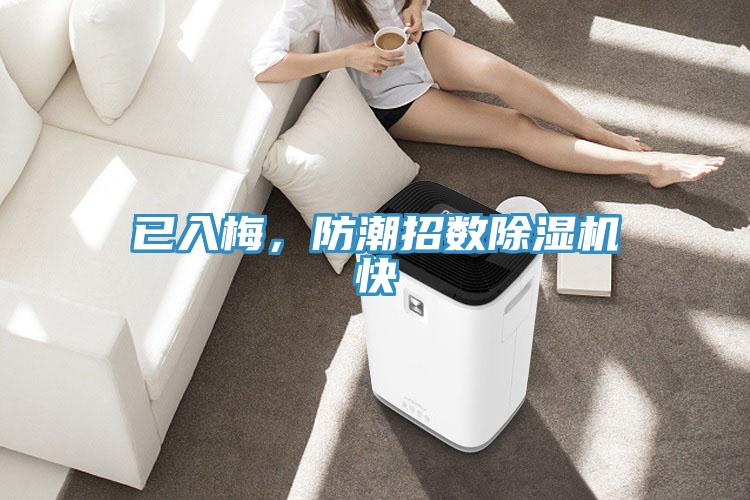 已入梅，防潮招數(shù)除濕機快