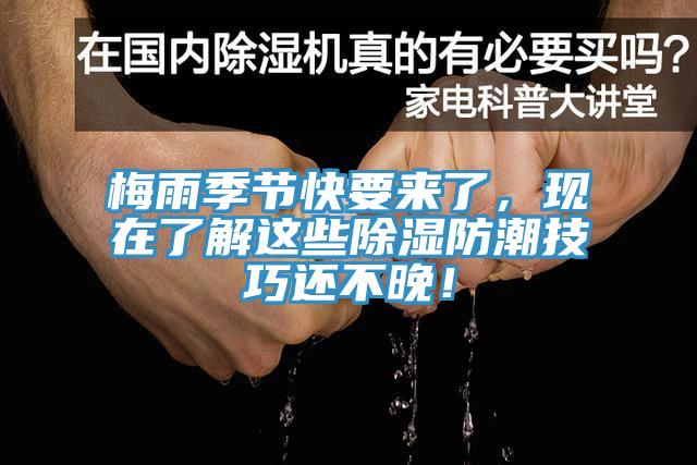 梅雨季節(jié)快要來(lái)了，現(xiàn)在了解這些除濕防潮技巧還不晚！
