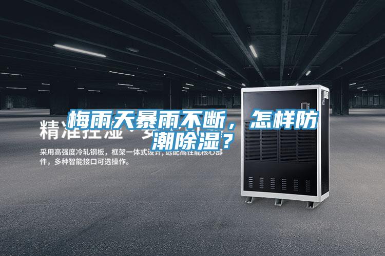 梅雨天暴雨不斷，怎樣防潮除濕？