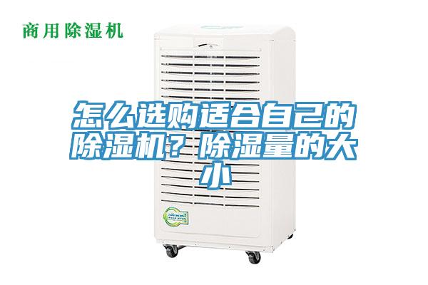 怎么選購(gòu)適合自己的除濕機(jī)？除濕量的大小