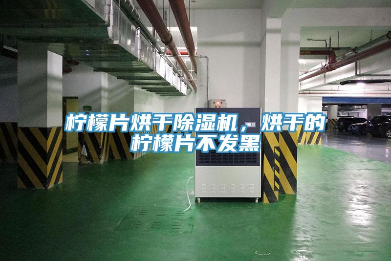 檸檬片烘干除濕機(jī)，烘干的檸檬片不發(fā)黑