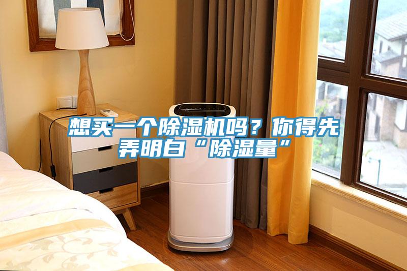 想買一個除濕機嗎？你得先弄明白“除濕量”