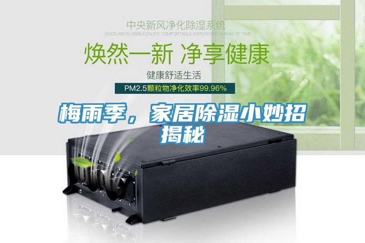 梅雨季，家居除濕小妙招揭秘