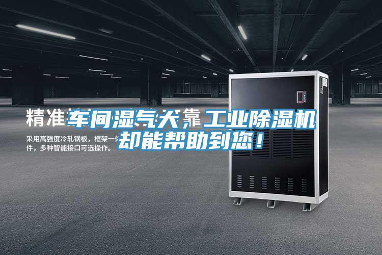 車間濕氣大，工業(yè)除濕機卻能幫助到您！