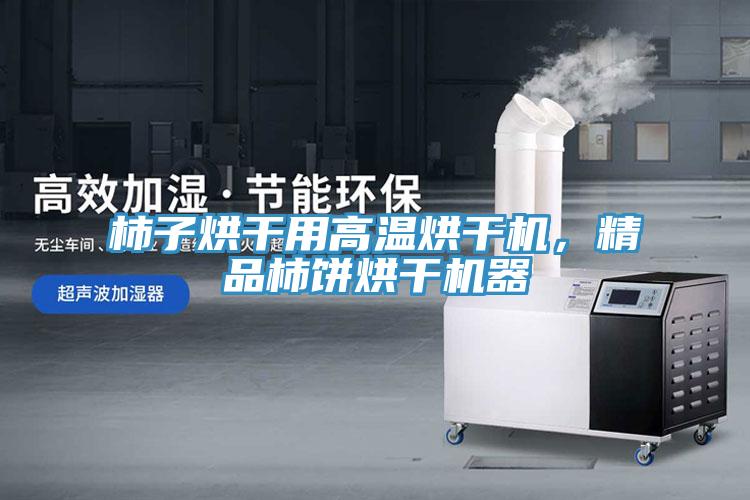 柿子烘干用高溫烘干機(jī)，精品柿餅烘干機(jī)器