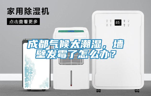 成都?xì)夂蛱睗?，墻壁發(fā)霉了怎么辦？