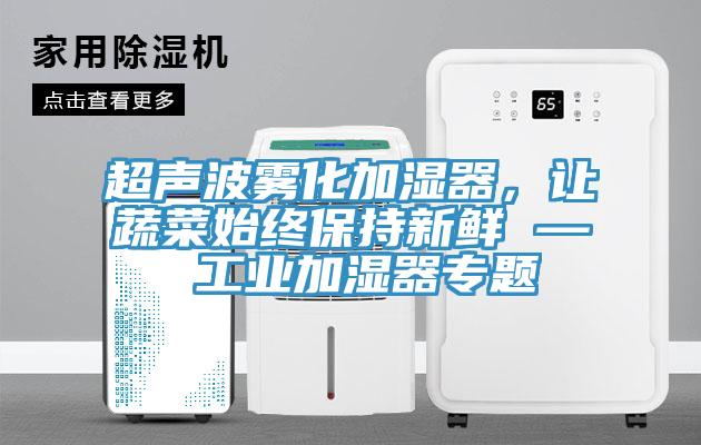 超聲波霧化加濕器，讓蔬菜始終保持新鮮 — 工業(yè)加濕器專題