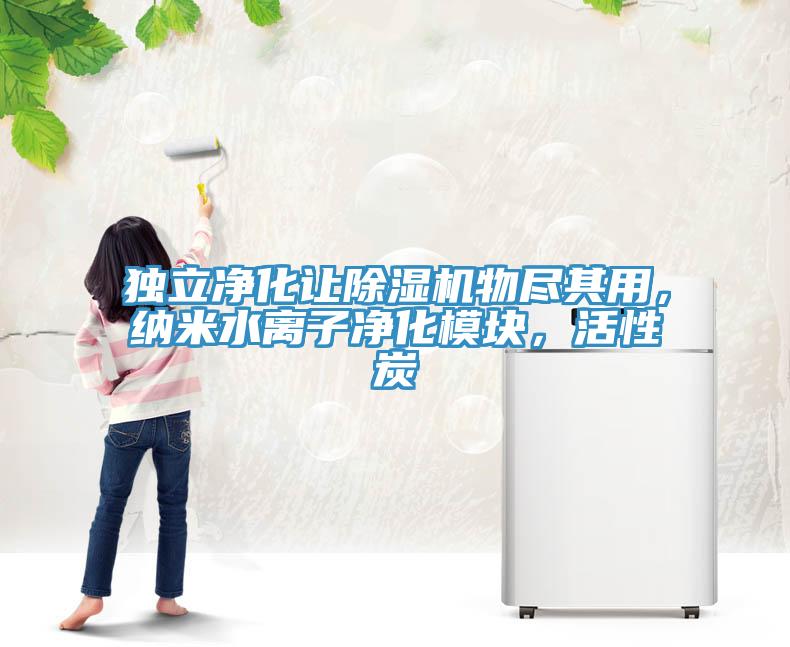 獨(dú)立凈化讓除濕機(jī)物盡其用，納米水離子凈化模塊，活性炭