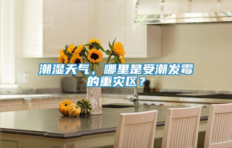 潮濕天氣，哪里是受潮發(fā)霉的重災(zāi)區(qū)？