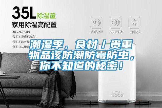 潮濕季，食材／貴重物品該防潮防霉防蟲，你不知道的秘密！