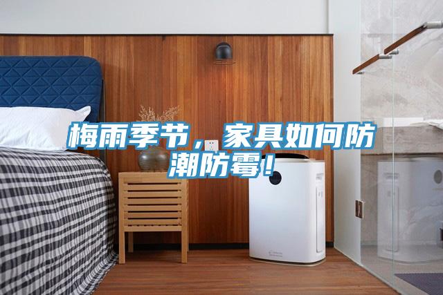 梅雨季節(jié)，家具如何防潮防霉！