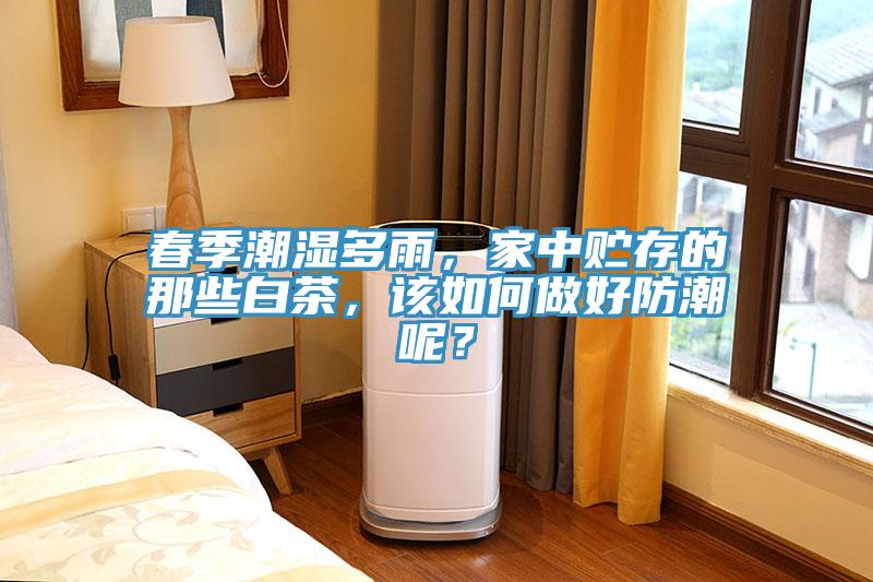 春季潮濕多雨，家中貯存的那些白茶，該如何做好防潮呢？