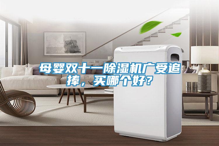 母嬰雙十一除濕機(jī)廣受追捧，買(mǎi)哪個(gè)好？