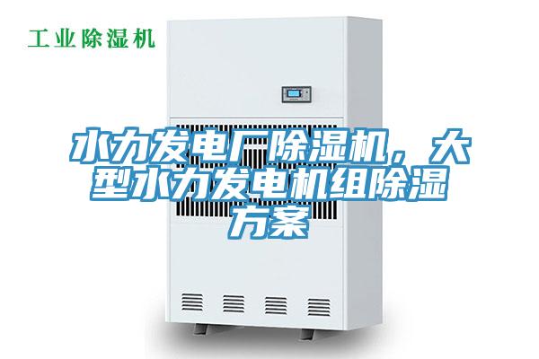 水力發(fā)電廠(chǎng)除濕機(jī)，大型水力發(fā)電機(jī)組除濕方案