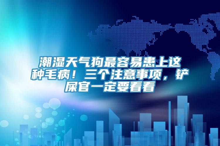 潮濕天氣狗最容易患上這種毛??！三個注意事項，鏟屎官一定要看看