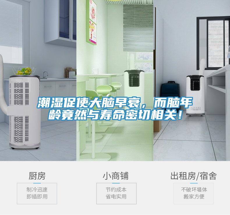 潮濕促使大腦早衰，而腦年齡竟然與壽命密切相關(guān)！