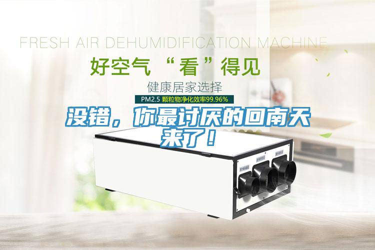 沒錯(cuò)，你最討厭的回南天來了！