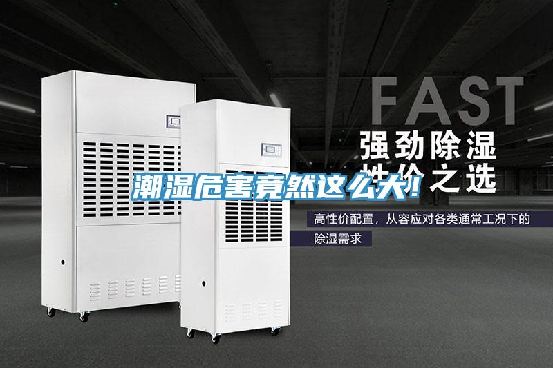 潮濕危害竟然這么大！