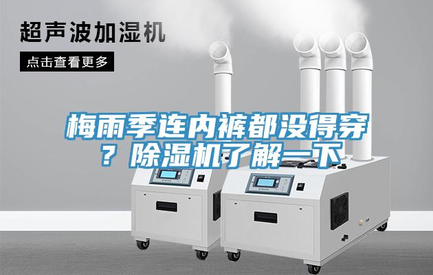 梅雨季連內(nèi)褲都沒得穿？除濕機(jī)了解一下