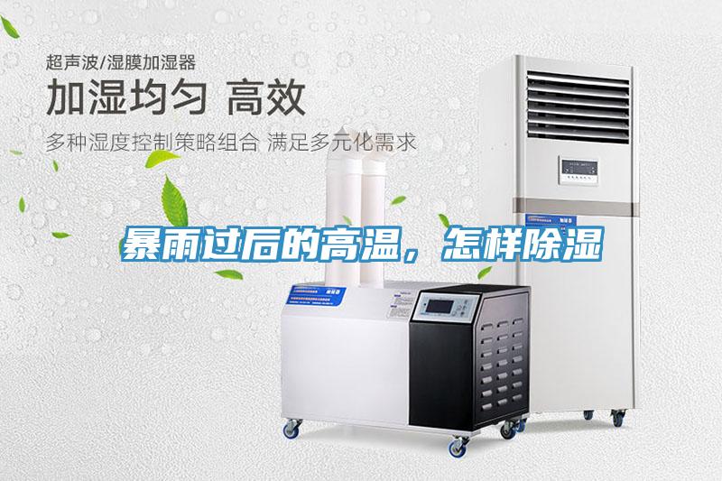 暴雨過后的高溫，怎樣除濕