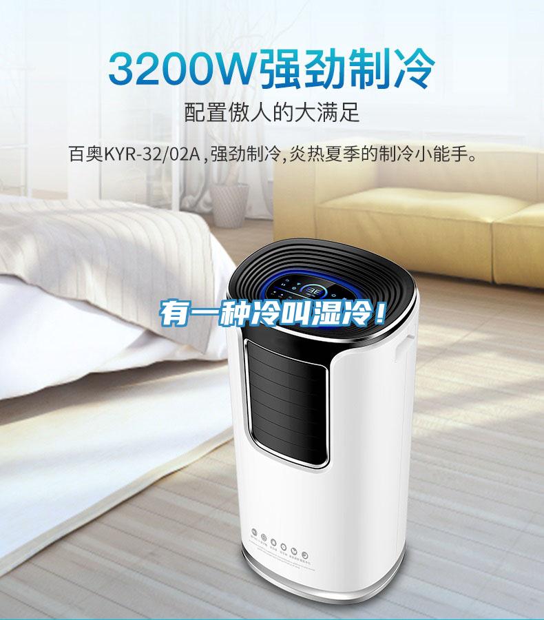 有一種冷叫濕冷！