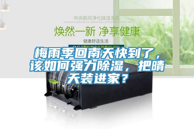 梅雨季回南天快到了，該如何強力除濕，把晴天裝進家？