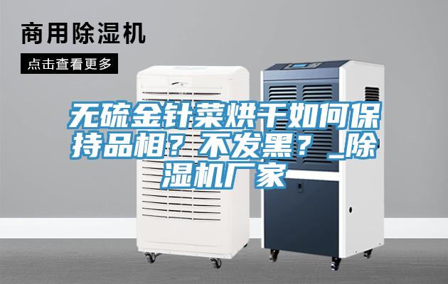 無(wú)硫金針菜烘干如何保持品相？不發(fā)黑？_除濕機(jī)廠家