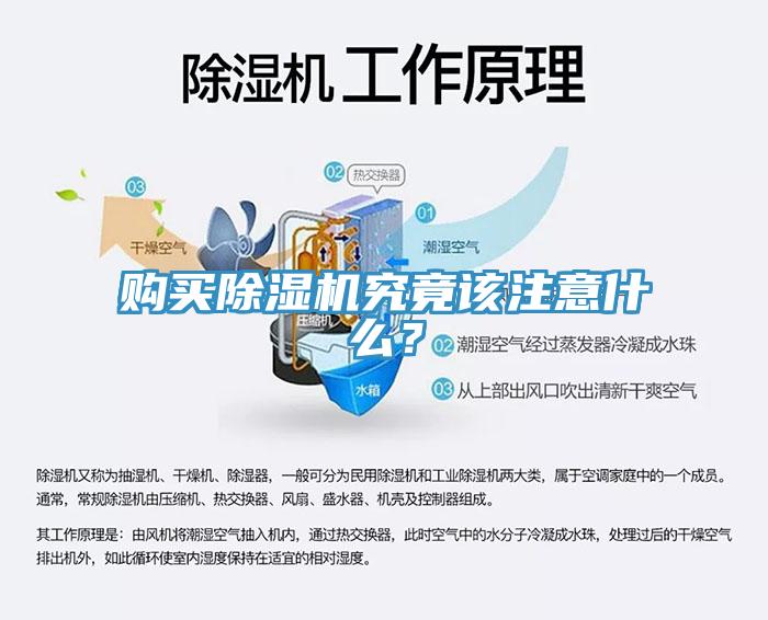 購(gòu)買(mǎi)除濕機(jī)究竟該注意什么？