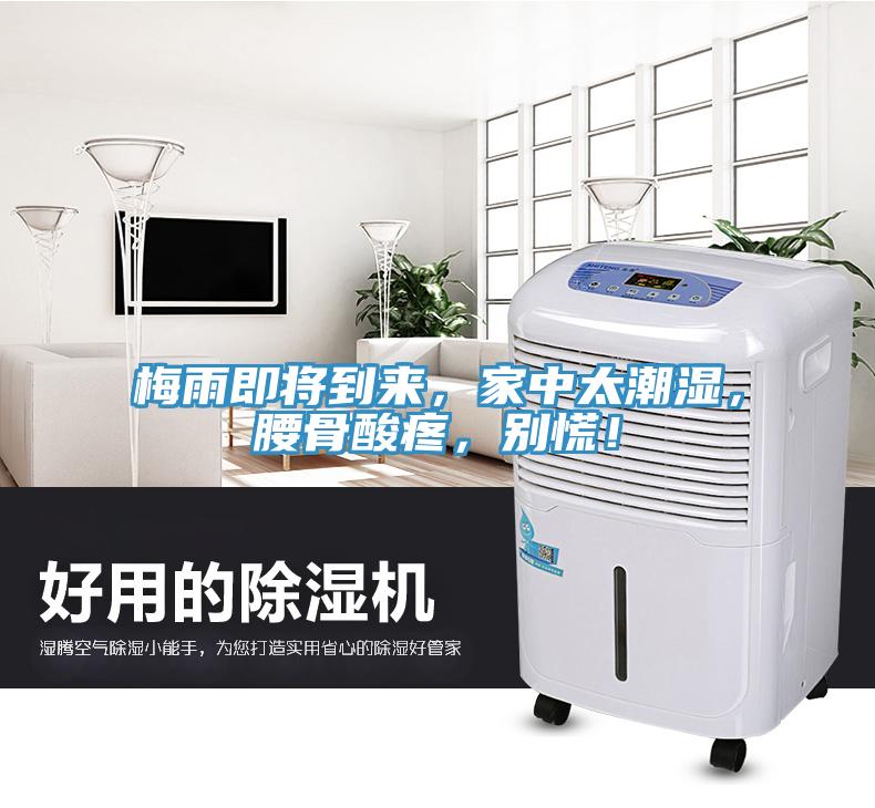 梅雨即將到來，家中太潮濕，腰骨酸疼，別慌！