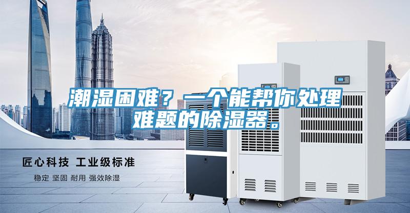 潮濕困難？一個(gè)能幫你處理難題的除濕器。