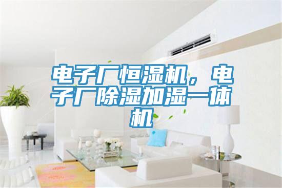 電子廠恒濕機(jī)，電子廠除濕加濕一體機(jī)