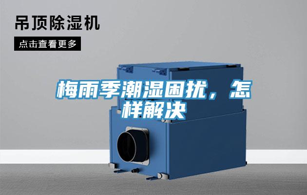 梅雨季潮濕困擾，怎樣解決
