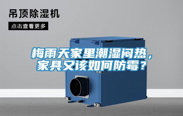 梅雨天家里潮濕悶熱，家具又該如何防霉？