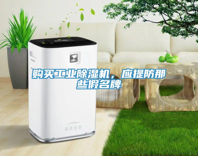 購(gòu)買工業(yè)除濕機(jī)，應(yīng)提防那些假名牌