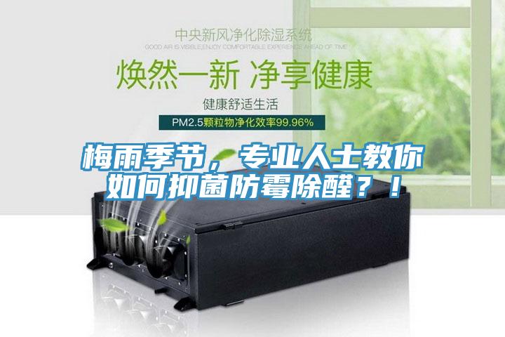 梅雨季節(jié)，專業(yè)人士教你如何抑菌防霉除醛？！