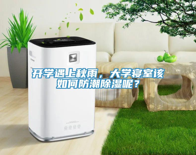開學(xué)遇上秋雨，大學(xué)寢室該如何防潮除濕呢？