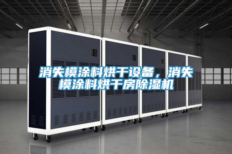 消失模涂料烘干設(shè)備，消失模涂料烘干房除濕機