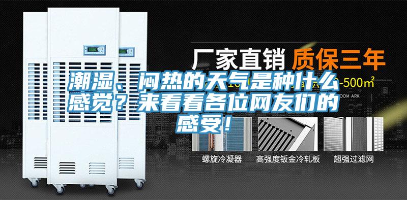潮濕、悶熱的天氣是種什么感覺？來看看各位網(wǎng)友們的感受！