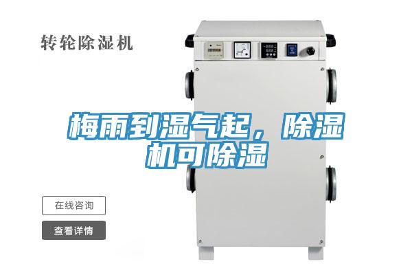 梅雨到濕氣起，除濕機(jī)可除濕