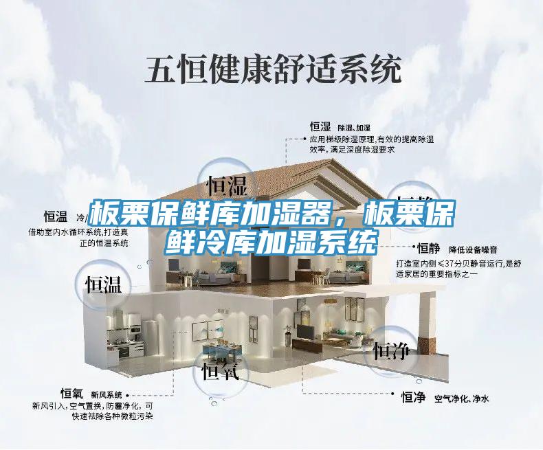 板栗保鮮庫加濕器，板栗保鮮冷庫加濕系統(tǒng)