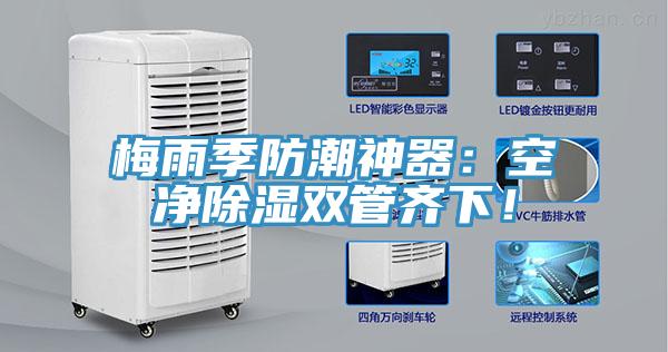 梅雨季防潮神器：空凈除濕雙管齊下！