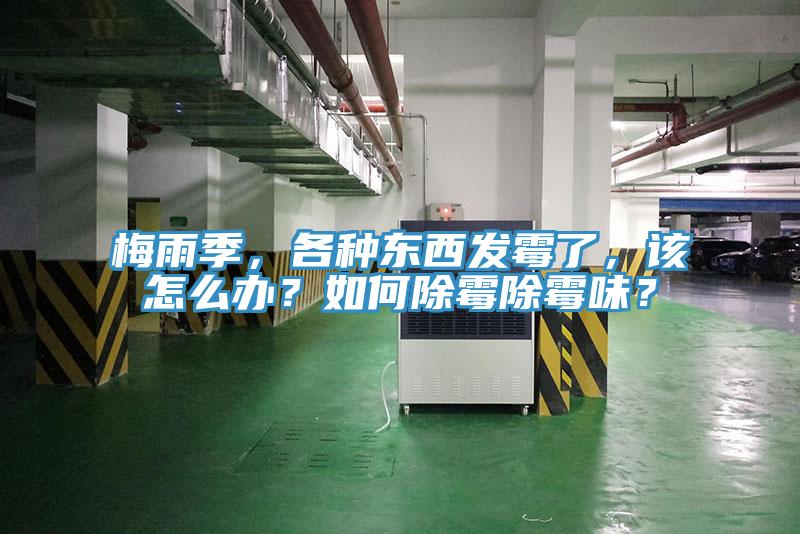 梅雨季，各種東西發(fā)霉了，該怎么辦？如何除霉除霉味？
